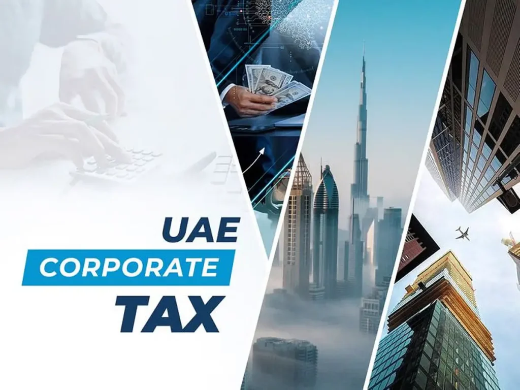 corporate tax audit